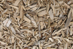 biomass boilers Rhoswiel