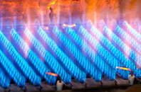 Rhoswiel gas fired boilers